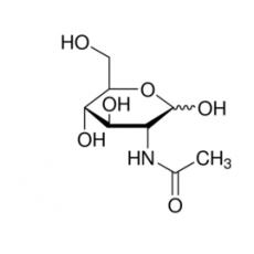 N-乙酰-D-氨基葡萄糖(NADG)