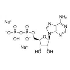 5´－二磷酸腺苷二钠(ADP Na2)