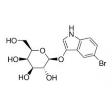 5-溴-3-吲哚基-β-D-吡喃半乳糖苷 