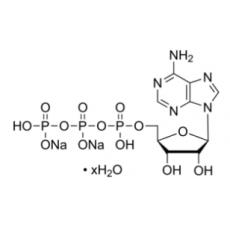 5’-三磷酸腺苷二钠盐