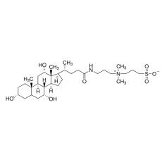 3-[3-(胆酰胺丙基)二甲氨基]-1-丙磺酸 