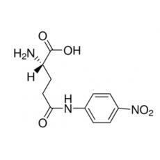L-γ-谷氨酰-对-硝基苯胺 （GPNA）