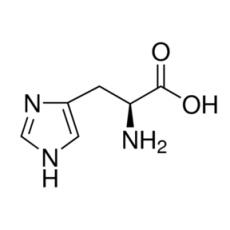 L-组氨酸 