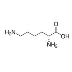 D-赖氨酸 