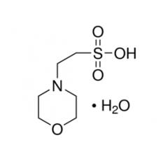 2-吗啉乙磺酸（MES）