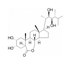 2，4-表油菜素内酯  
