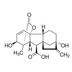 赤霉素A3(A3;GA3)