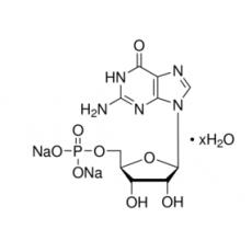 鸟苷-5-磷酸二钠盐 （GMP 2Na）