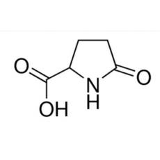 DL-焦谷氨酸 