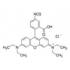 异硫氰酸玫瑰红B（RBITC）