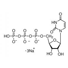 5-三磷酸尿苷三钠（UTP）