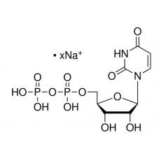 尿苷5 -二磷酸酯钠盐（5-UDP）