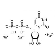 尿苷5 -二磷酸酯钠盐