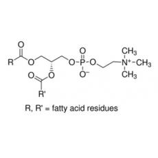 L-α-大豆卵磷脂 