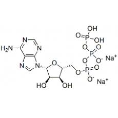 5’-三磷酸腺苷二钠盐 （标准品/对照品）