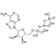 5'-三磷酸腺苷（ATP）