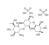 G418硫酸盐