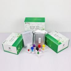 人肿瘤坏死因子α(TNF-α)ELISA KIT